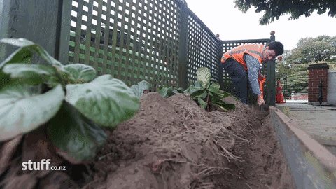 科普 | 光纤是怎样入综合布线户的？（视频+图文讲解）